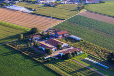 Schoßberghof à Minfeld dans le département Rhénanie-Palatinat, Allemagne d'en haut
