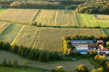 Vue aérienne de Moulin à rebord à Erlenbach bei Kandel dans le département Rhénanie-Palatinat, Allemagne