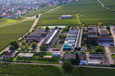 RLP Agroscience à le quartier Mußbach in Neustadt an der Weinstraße dans le département Rhénanie-Palatinat, Allemagne d'en haut