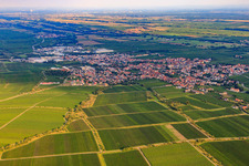 Vue aérienne de Du nord-ouest à Edenkoben dans le département Rhénanie-Palatinat, Allemagne