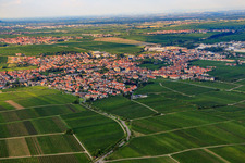 Vue oblique de Du sud-ouest à Edenkoben dans le département Rhénanie-Palatinat, Allemagne