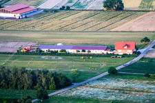 Vue aérienne de Écurie équestre à Hatzenbühl dans le département Rhénanie-Palatinat, Allemagne
