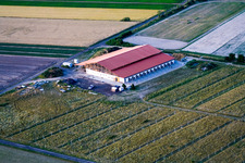 Vue aérienne de Écurie équestre à Hatzenbühl dans le département Rhénanie-Palatinat, Allemagne