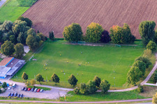 Vue aérienne de Terrain de football Rohrbach à Rohrbach dans le département Rhénanie-Palatinat, Allemagne