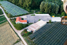 Vue aérienne de Zirkershof à Rheinzabern dans le département Rhénanie-Palatinat, Allemagne