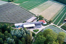 Vue aérienne de Zirkershof à Rheinzabern dans le département Rhénanie-Palatinat, Allemagne