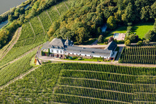 Vue aérienne de Paysage viticole avec le domaine viticole du château de Saarstein au-dessus de la Sarre dans l'État fédéral à Serrig dans le département Rhénanie-Palatinat, Allemagne