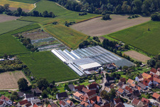 Photographie aérienne de Jardinage sur Ziegelstr à le quartier Sondernheim in Germersheim dans le département Rhénanie-Palatinat, Allemagne