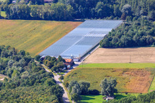 Vue aérienne de Crèche Klaus et Frank Mildenberger à le quartier Sondernheim in Germersheim dans le département Rhénanie-Palatinat, Allemagne