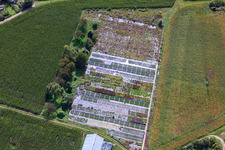 Vue oblique de Jardinage sur Ziegelstr à le quartier Sondernheim in Germersheim dans le département Rhénanie-Palatinat, Allemagne