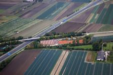 Photographie aérienne de Quartier Ruchheim in Ludwigshafen am Rhein dans le département Rhénanie-Palatinat, Allemagne