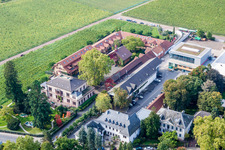 Photographie aérienne de Bâtiments et parcs du domaine viticole Dr. Loup de Bürklin à le quartier Wachenheim in Wachenheim an der Weinstraße dans le département Rhénanie-Palatinat, Allemagne