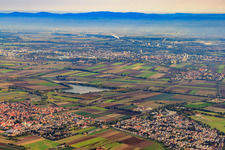 Lambsheim dans le département Rhénanie-Palatinat, Allemagne d'en haut