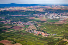 Vue aérienne de Saussenheim à Bissersheim dans le département Rhénanie-Palatinat, Allemagne