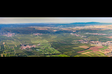 Vue aérienne de Zone du parcours de golf Golfgarten Golfgarten German Wine Route à Dackenheim dans le département Rhénanie-Palatinat, Allemagne