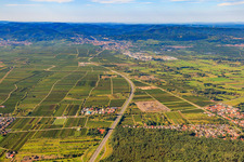 Vue aérienne de Zone industrielle sur l'A650 à Ellerstadt dans le département Rhénanie-Palatinat, Allemagne