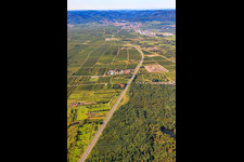 Vue aérienne de Zone industrielle sur l'A650 à Ellerstadt dans le département Rhénanie-Palatinat, Allemagne
