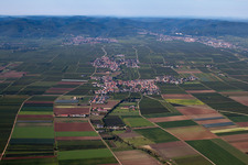 Vue aérienne de Champs agricoles et surfaces utilisables à Gönnheim dans le département Rhénanie-Palatinat, Allemagne