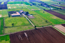 Vue aérienne de Hochdorf-Assenheim dans le département Rhénanie-Palatinat, Allemagne
