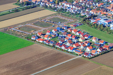 Vue aérienne de Nouvelle zone de développement d'Ahornweg à Steinweiler dans le département Rhénanie-Palatinat, Allemagne