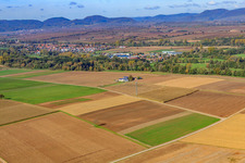 Vue oblique de Rosenhof à Steinweiler dans le département Rhénanie-Palatinat, Allemagne