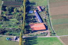 Vue aérienne de Hirtenbrunner Hof sur l'Aalmühl à le quartier Ilbesheim in Ilbesheim bei Landau in der Pfalz dans le département Rhénanie-Palatinat, Allemagne