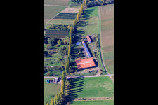 Photographie aérienne de Hirtenbrunner Hof sur l'Aalmühl à le quartier Ilbesheim in Ilbesheim bei Landau in der Pfalz dans le département Rhénanie-Palatinat, Allemagne