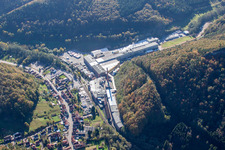 Photographie aérienne de Chripa Paletten GmbH à le quartier Sarnstall in Annweiler am Trifels dans le département Rhénanie-Palatinat, Allemagne