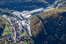 Vue oblique de Chripa Paletten GmbH à le quartier Sarnstall in Annweiler am Trifels dans le département Rhénanie-Palatinat, Allemagne