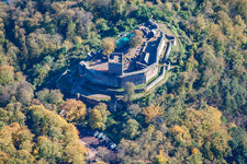 Vue aérienne de Ruines de Landeck à Klingenmünster dans le département Rhénanie-Palatinat, Allemagne