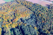 Photographie aérienne de Bac à sable dans la forêt à Barbelroth dans le département Rhénanie-Palatinat, Allemagne