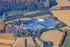 Photographie aérienne de Géranium Endisch GmbH à Hagenbach dans le département Rhénanie-Palatinat, Allemagne