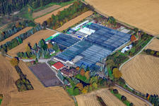 Vue oblique de Géranium Endisch GmbH à Hagenbach dans le département Rhénanie-Palatinat, Allemagne