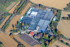 Géranium Endisch GmbH à Hagenbach dans le département Rhénanie-Palatinat, Allemagne d'en haut