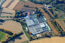 Géraniums Endisch GmbH à Hagenbach dans le département Rhénanie-Palatinat, Allemagne depuis l'avion