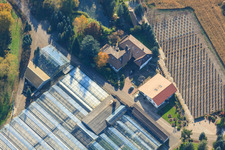 Vue d'oiseau de Géraniums Endisch GmbH à Hagenbach dans le département Rhénanie-Palatinat, Allemagne