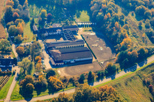 Vue aérienne de Ferme équestre à Hagenbach dans le département Rhénanie-Palatinat, Allemagne