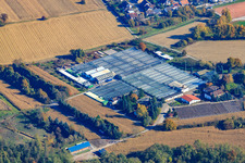 Géraniums Endisch GmbH à Hagenbach dans le département Rhénanie-Palatinat, Allemagne d'un drone