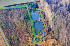 Vue aérienne de Étangs à poissons vers Barbelroth à Hergersweiler dans le département Rhénanie-Palatinat, Allemagne