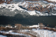 Zone industrielle d'Oberwald à Wörth am Rhein dans le département Rhénanie-Palatinat, Allemagne d'en haut