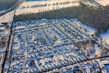 Vue aérienne de Règlement en hiver avec de la neige à Kandel dans le département Rhénanie-Palatinat, Allemagne