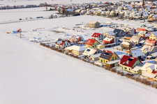 Photographie aérienne de Sentier de l'Érable en hiver avec de la neige à Steinweiler dans le département Rhénanie-Palatinat, Allemagne