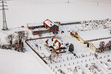 Vue aérienne de Schosberghof en hiver avec de la neige à Minfeld dans le département Rhénanie-Palatinat, Allemagne