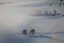 Photographie aérienne de Wintzenbach dans le département Bas Rhin, France
