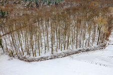 Vue aérienne de Friedwald à Kandel dans le département Rhénanie-Palatinat, Allemagne