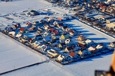 Vue aérienne de Chemin de hêtres sous la neige en hiver à Steinweiler dans le département Rhénanie-Palatinat, Allemagne