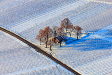 Vue aérienne de Hoppeditzelhäusel sous la neige en hiver à Impflingen dans le département Rhénanie-Palatinat, Allemagne