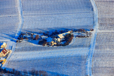 Vue aérienne de Vigneron avec toit en herbe en hiver sous la neige à le quartier Wollmesheim in Landau in der Pfalz dans le département Rhénanie-Palatinat, Allemagne