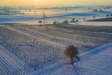 Vue aérienne de Vignes en hiver avec de la neige à Dierbach dans le département Rhénanie-Palatinat, Allemagne