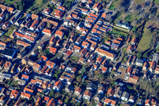 Vue aérienne de Altspeyerer Straße à Lingenfeld dans le département Rhénanie-Palatinat, Allemagne